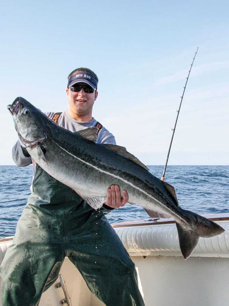 fishing for Jersey Cod