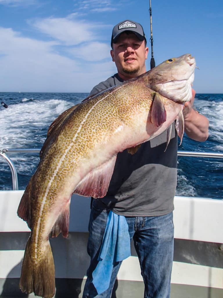 fishing for Jersey Cod
