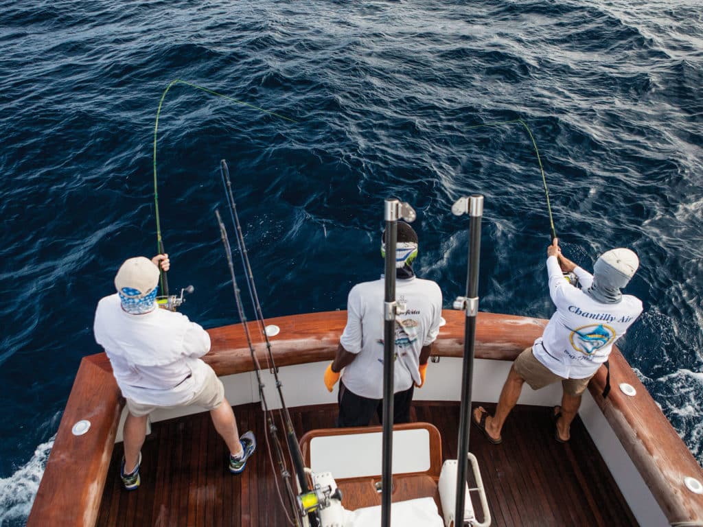 The seamounts off Los Sueños, Costa Rica hold unmatched marlin fishing