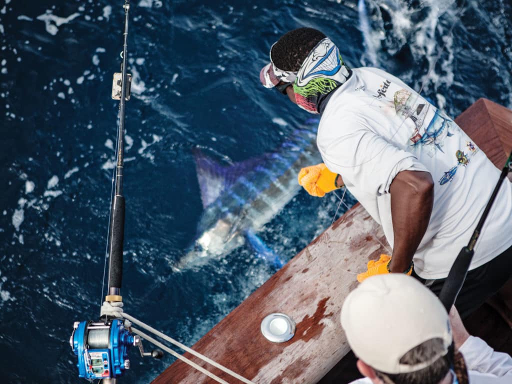 The seamounts off Los Sueños, Costa Rica hold unmatched marlin fishing