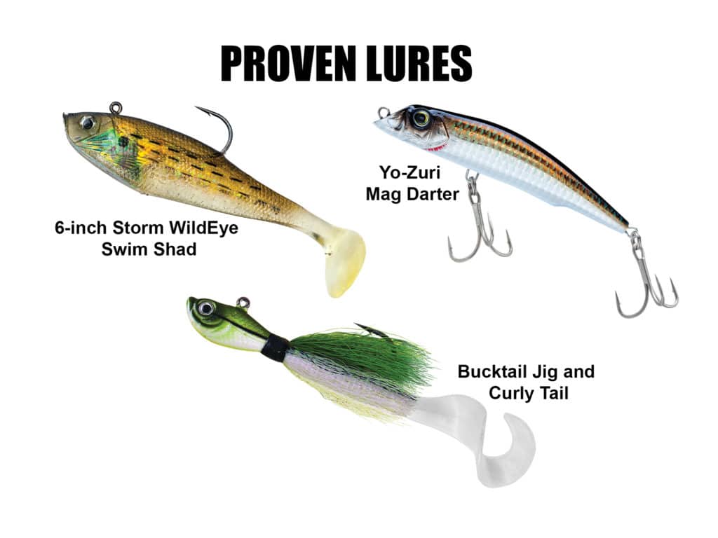 There's a lot of overlap in the prey of red drum and stripers, therefore, many of the same lures also work on both species.