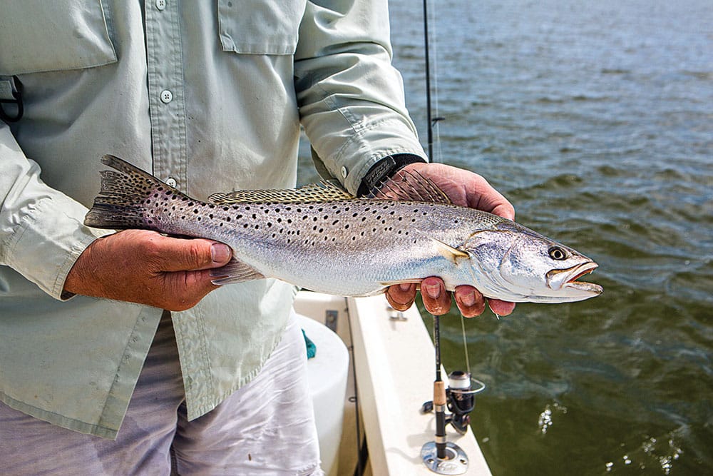 trout fishing