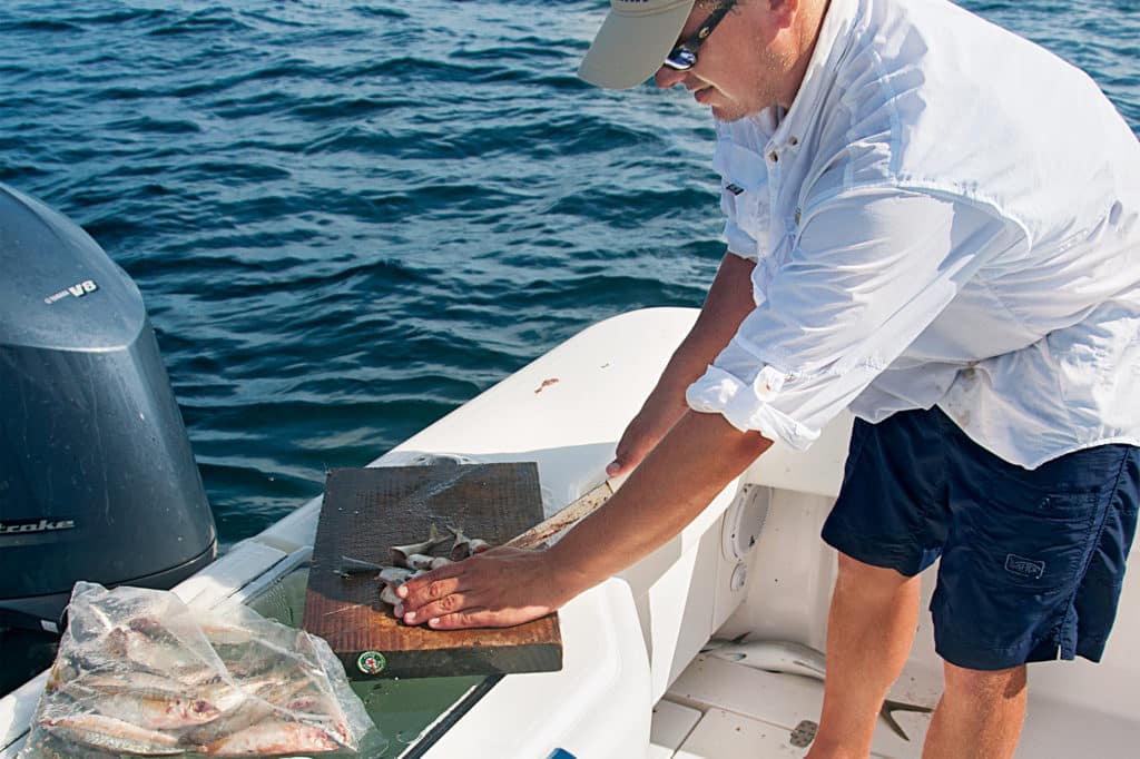 Cutting live bait for chunking