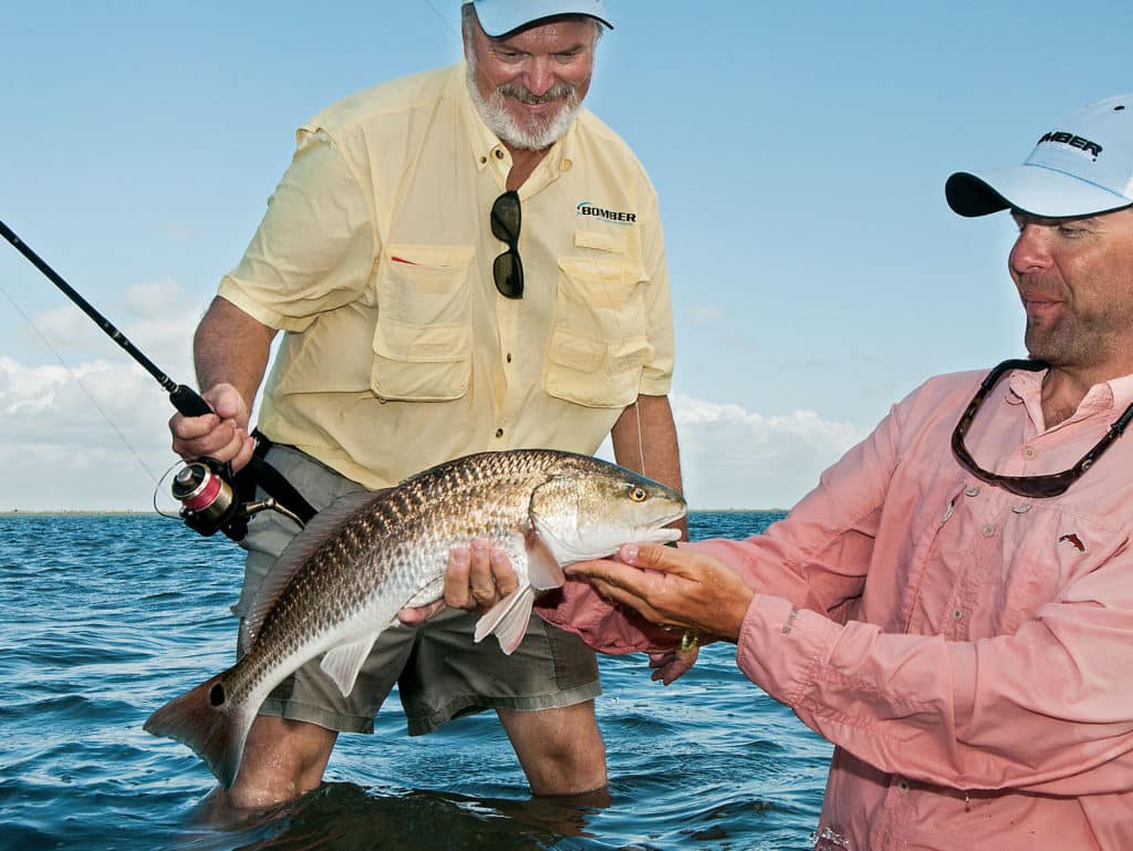 Weedless spoons warrant strikes from redfish, small to very large.