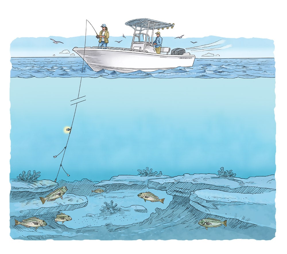 Quick-Change Deep-Drop Rig for Tilefish