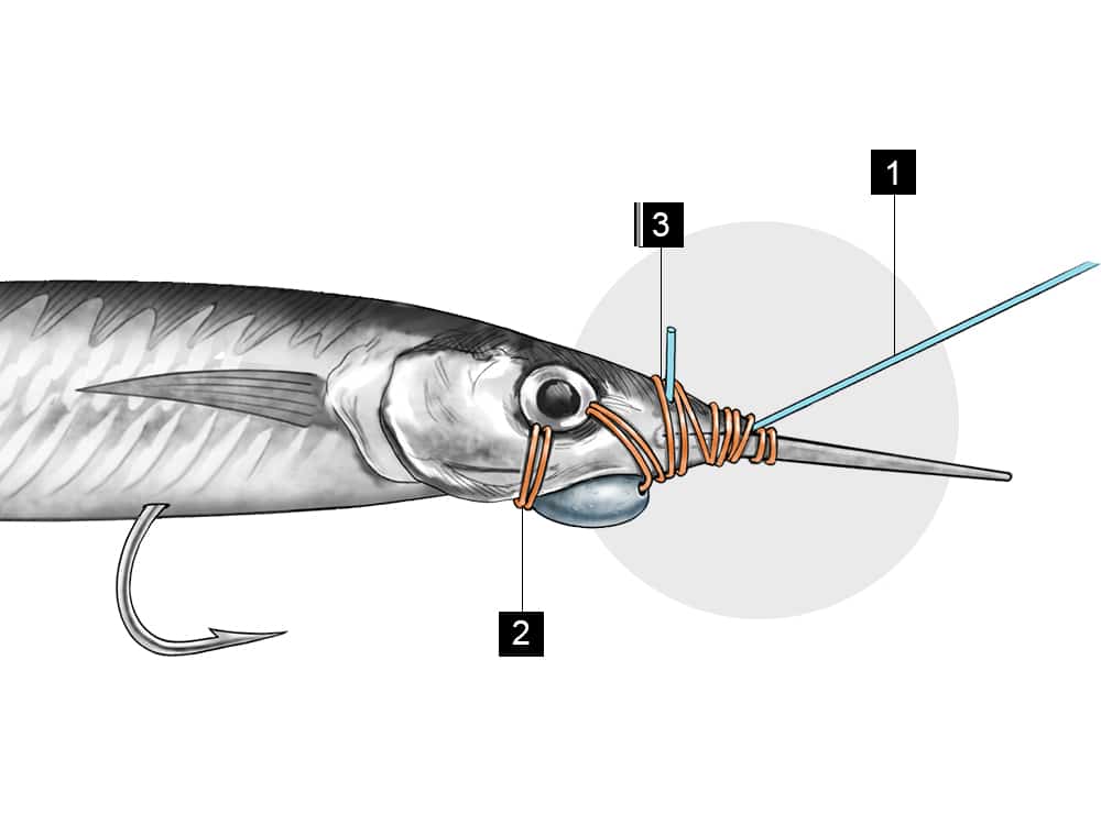 How to Rig a Ballyhoo, Rigging Ballyhoo for Trolling