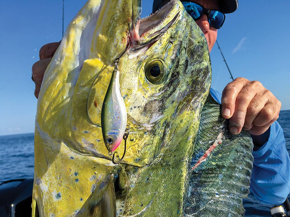 single-hook lure for dolphin