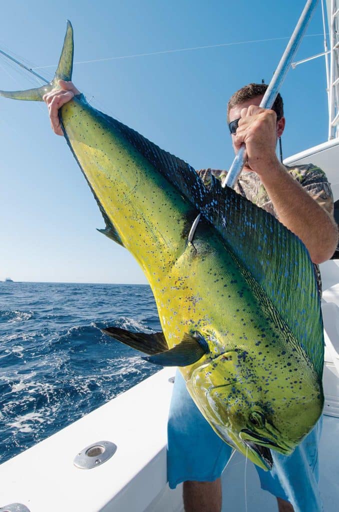 Offshore Fishing at Cape Hatteras