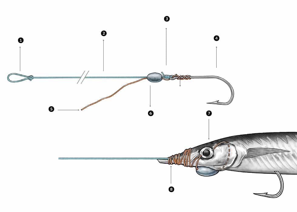 Naked Ballyhoo Trolling Rig