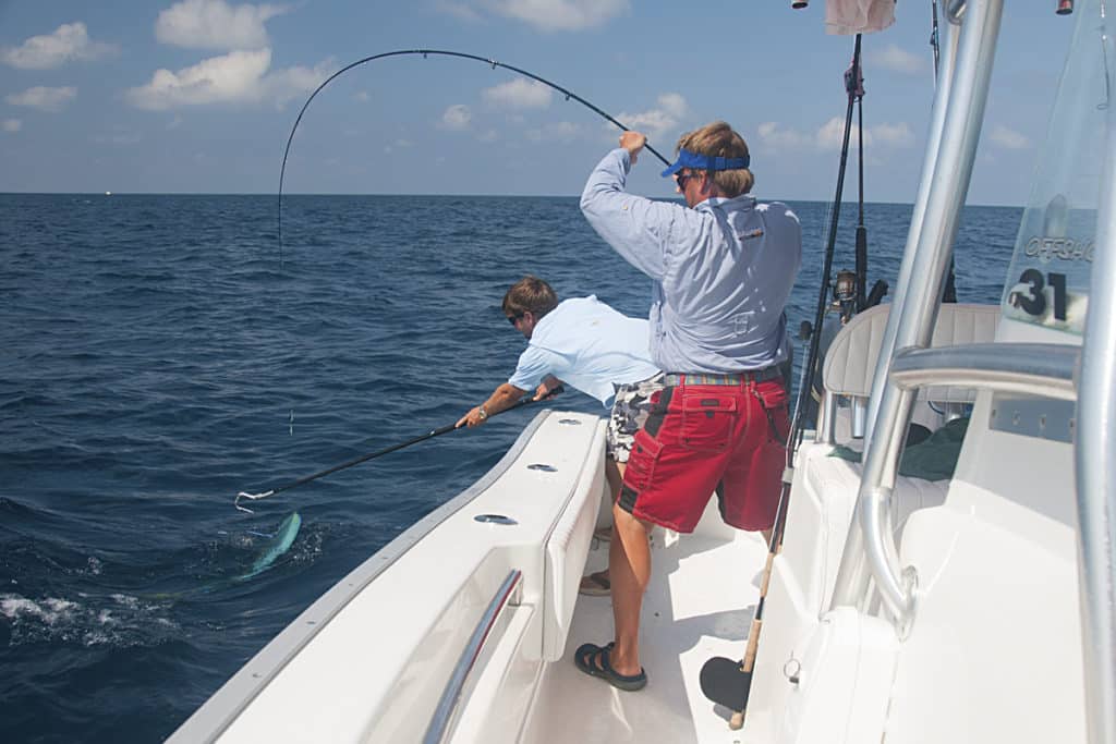 fly fishing for dolphin