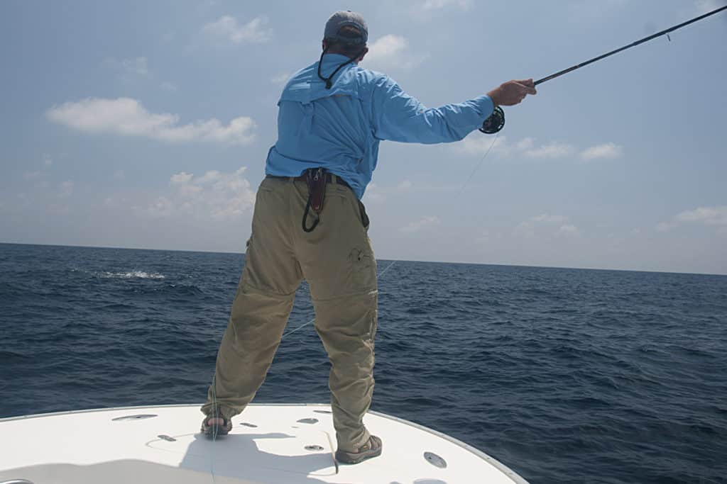 Fly-Fishing Tips for Dolphin