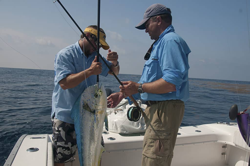 Fly-Fishing Tips for Dolphin