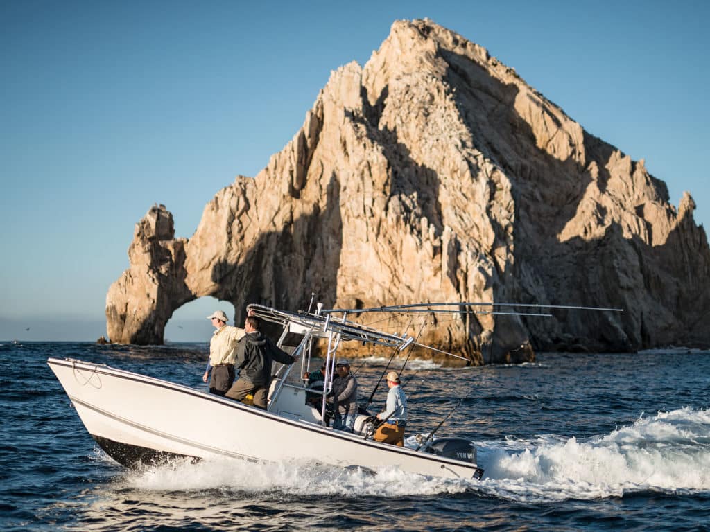 Striped Marlin Fishing Baja, Mexico