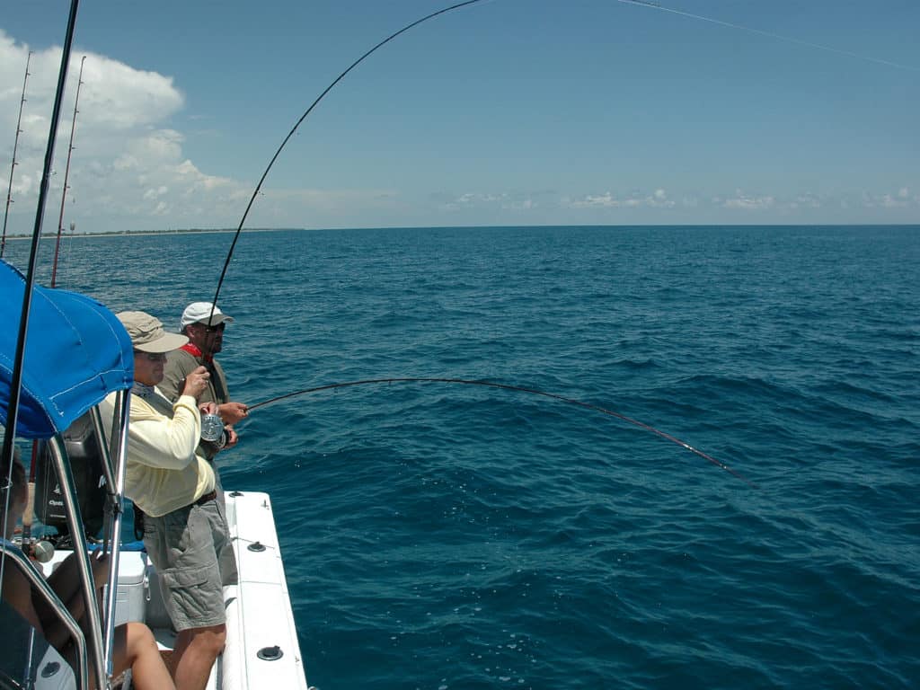 Offshore game fish often feed deep, and fast sinking lines are needed to get down to them.