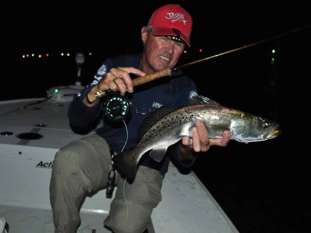 Trout feed ravenously after dark, and they often congregate around dock lights