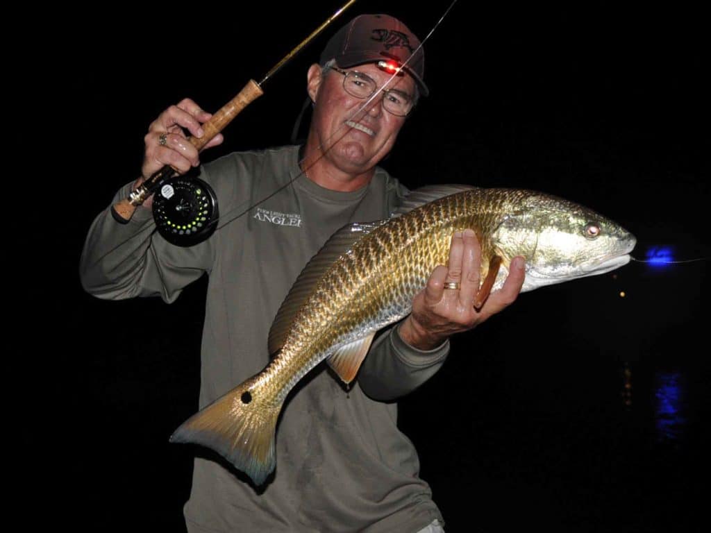 Redfish also hang around dock lights, but feed closer to the bottom