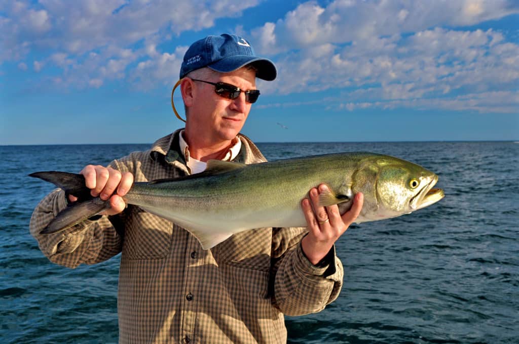 Late fall affords the best chances to land the largest blues, those 12- to 20-pound “slammers.”