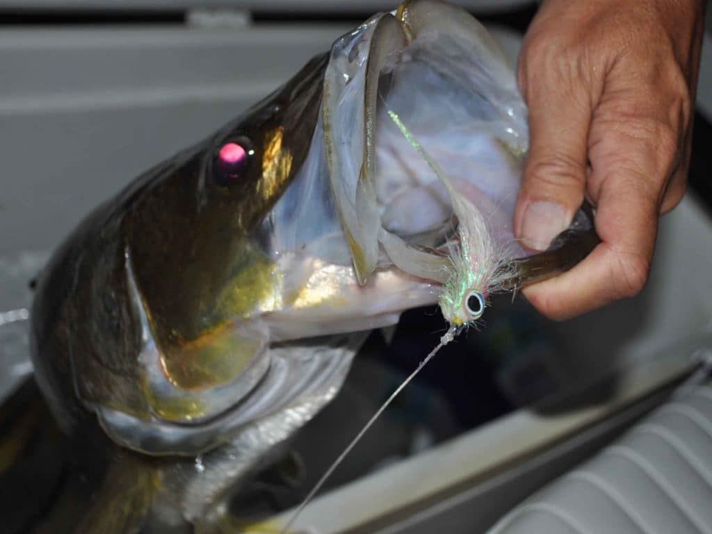 Small, white and translucent flies imitate snook's natural night forage