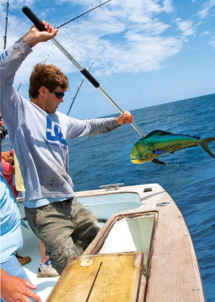 summer dolphin fishing