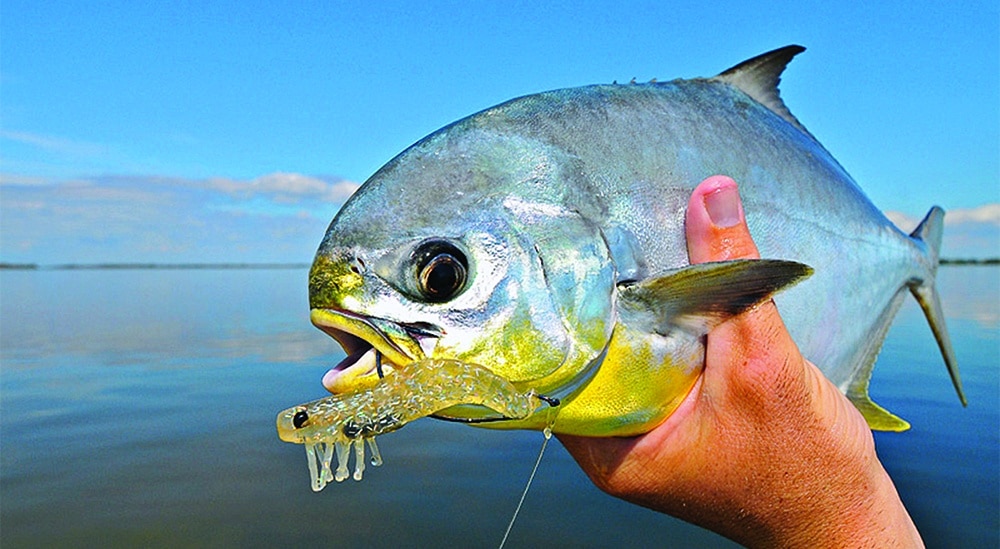 pompano caught in Florida