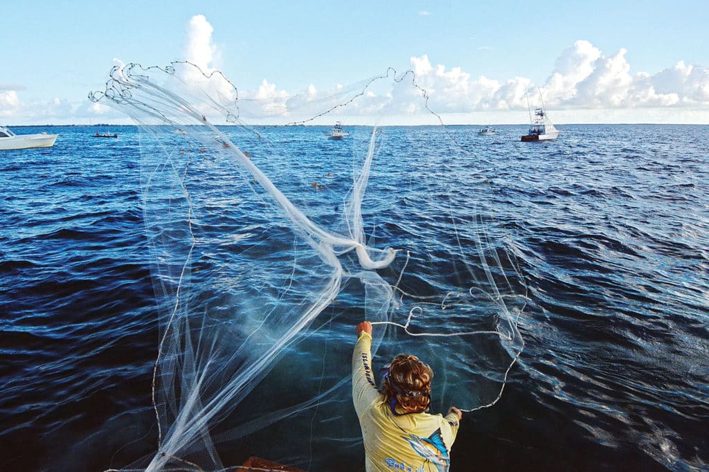 cast net for catching bait