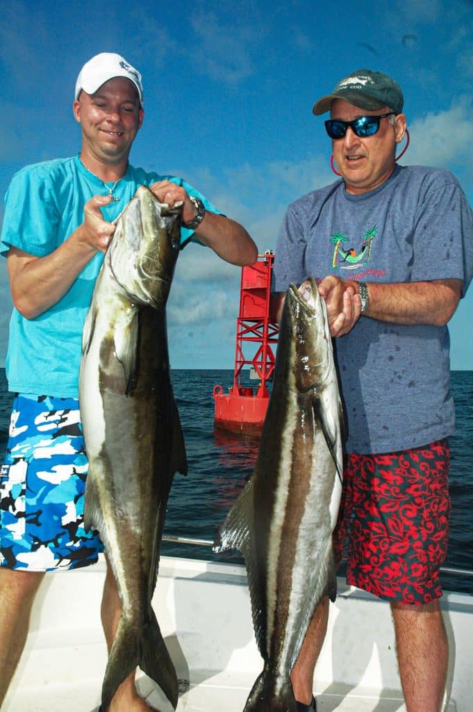 A pair of cobia