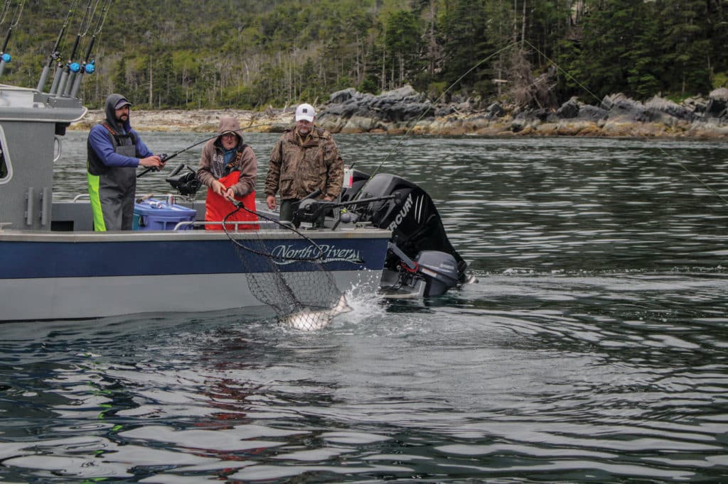 Using downriggers to catch salmon