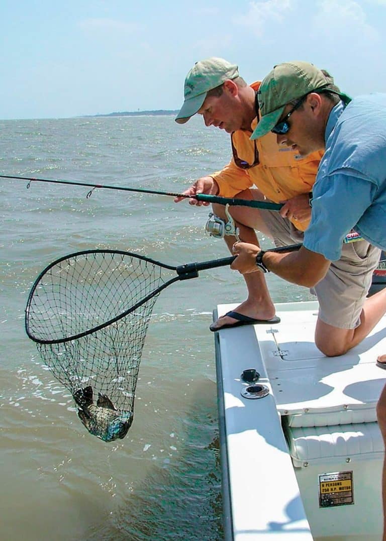 Tools for Landing Fish