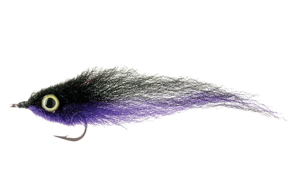 ep-black-and-purple-fly.jpg