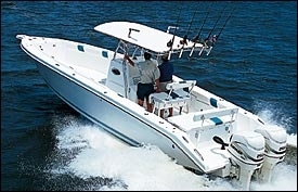 evinrude_ficht_250.jpg