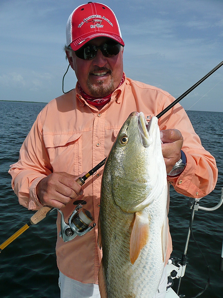 Big redfish in the marshes