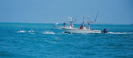 Drifting for Tarpon