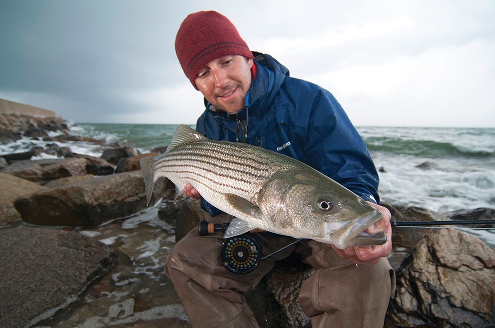 Striper Report 2013