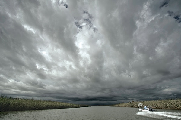 Louisiana fishing scenery