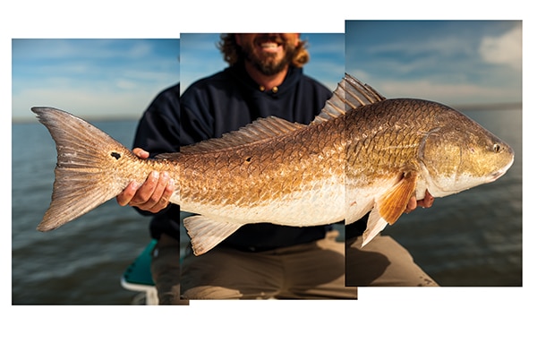 fishing for Louisiana redfish