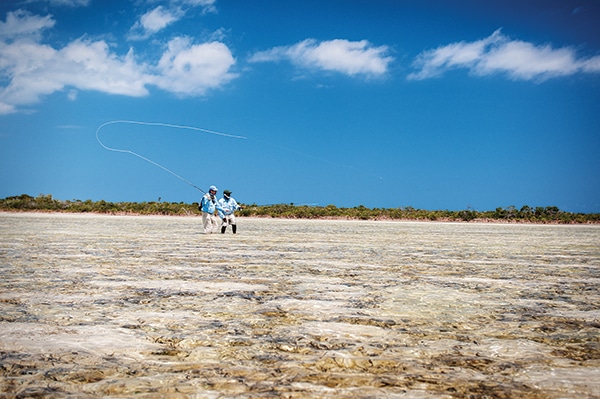 bonefish in skinny waters