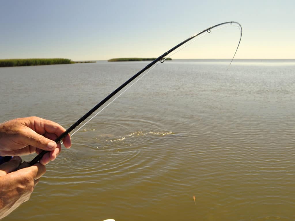 Fly rods from 6- to 9-weight are ideal for baby tarpon, just let the size of both the flies and the fish you’ll be targeting dictate the tackle selection.