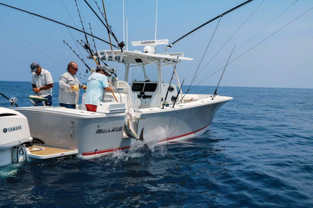 Offshore: 2019 Boat Buyers Guide