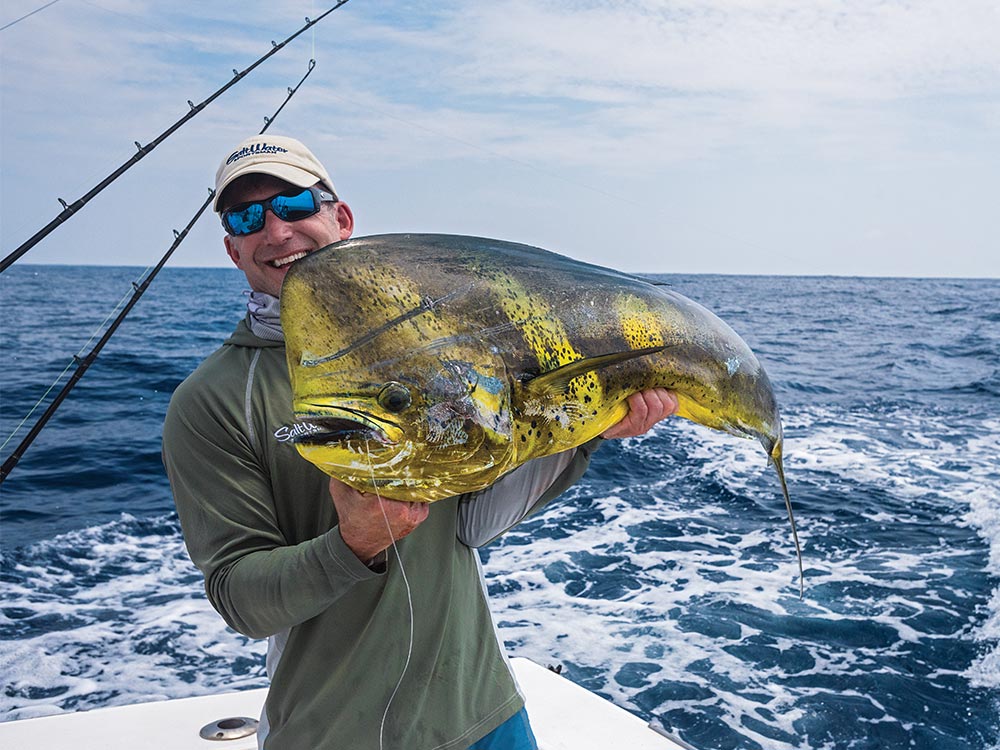 big mahimahi