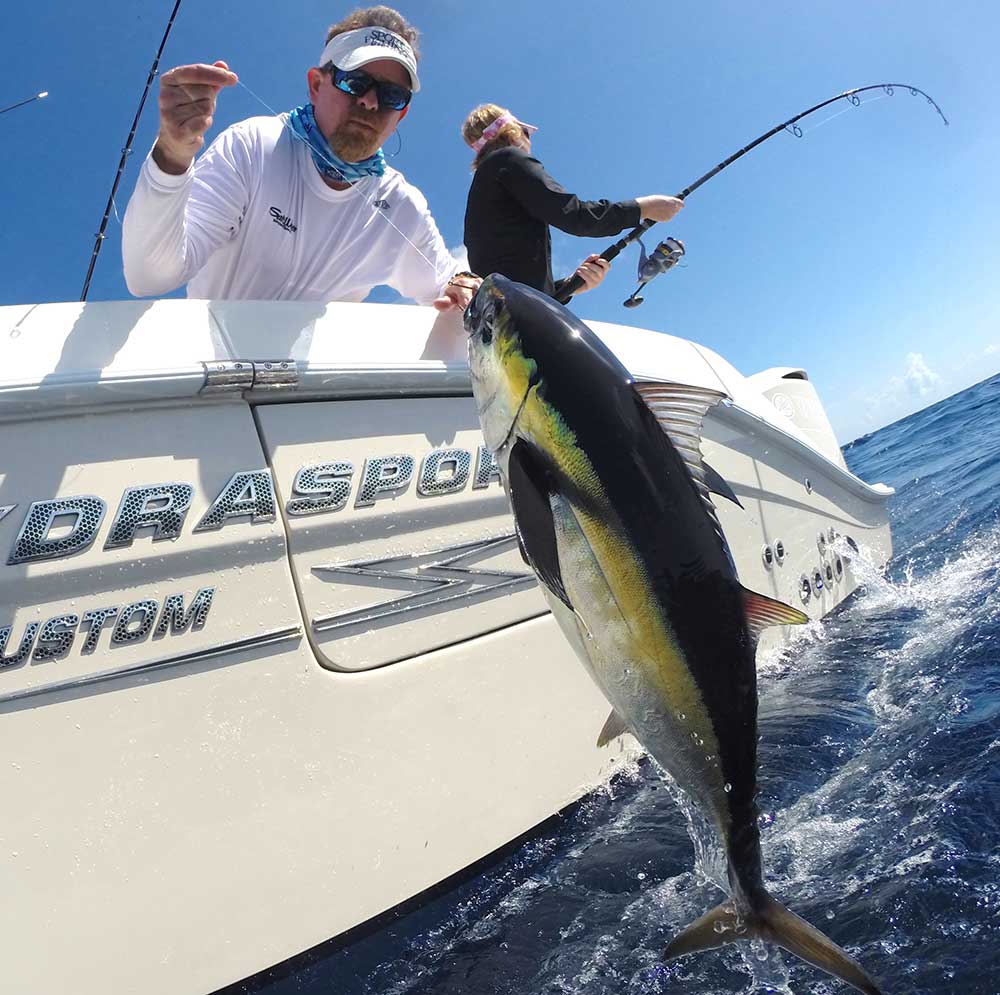 fishing for yellowfin tuna