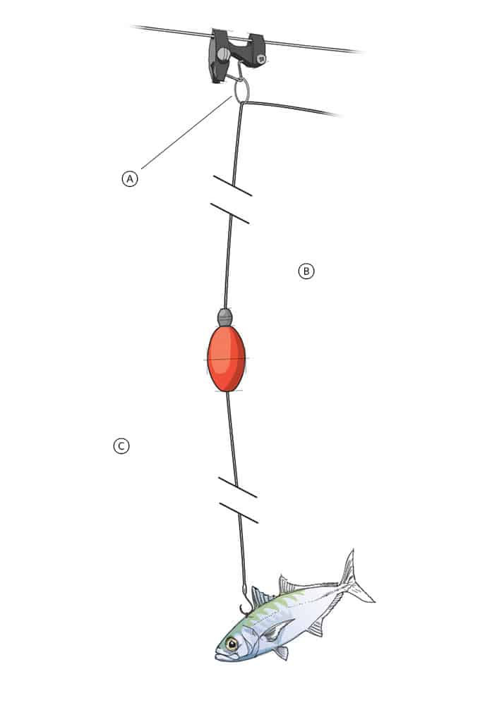 Proper Kite line and Clip Placement when Fishing 