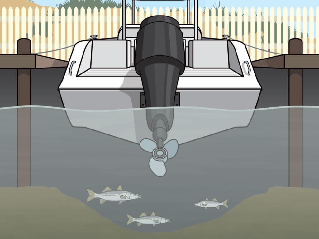 Game fish often wait in ambush under docked boats for bait attracted to the cover.