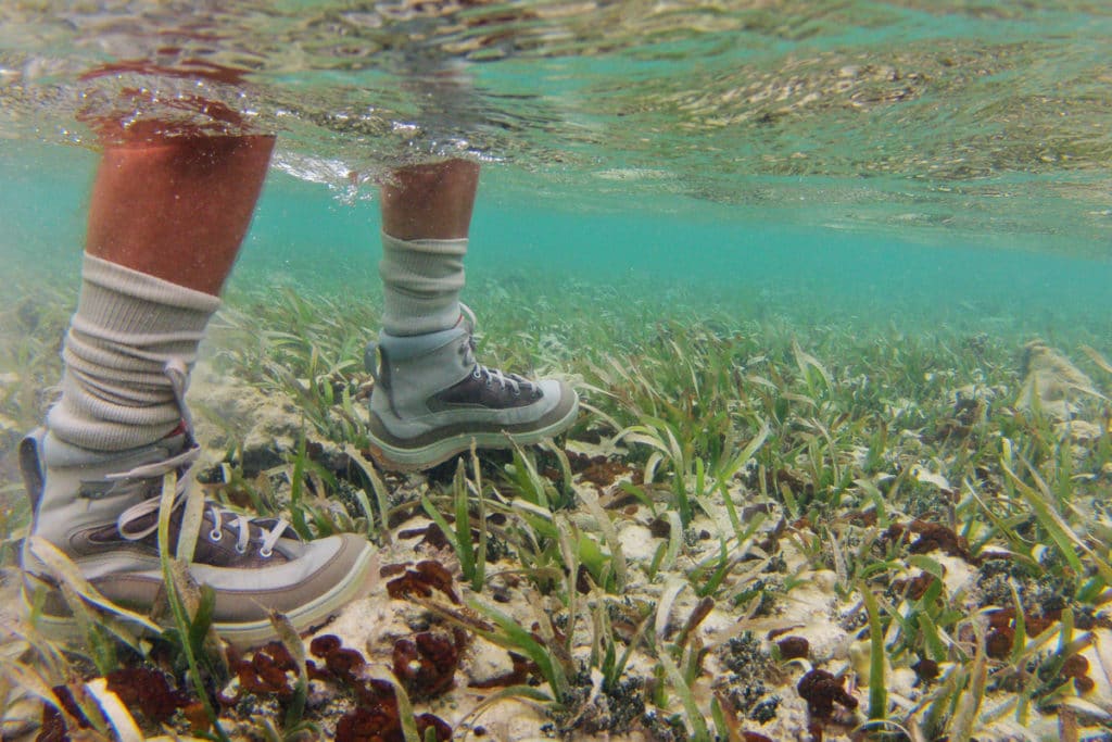 bonefish bait types