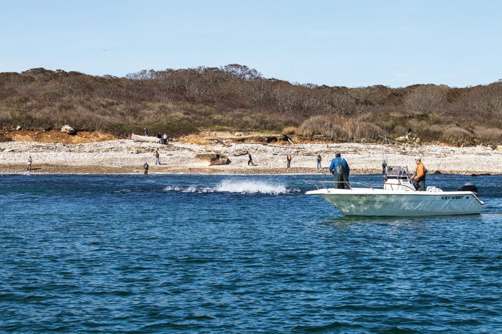 fishing for striped bass