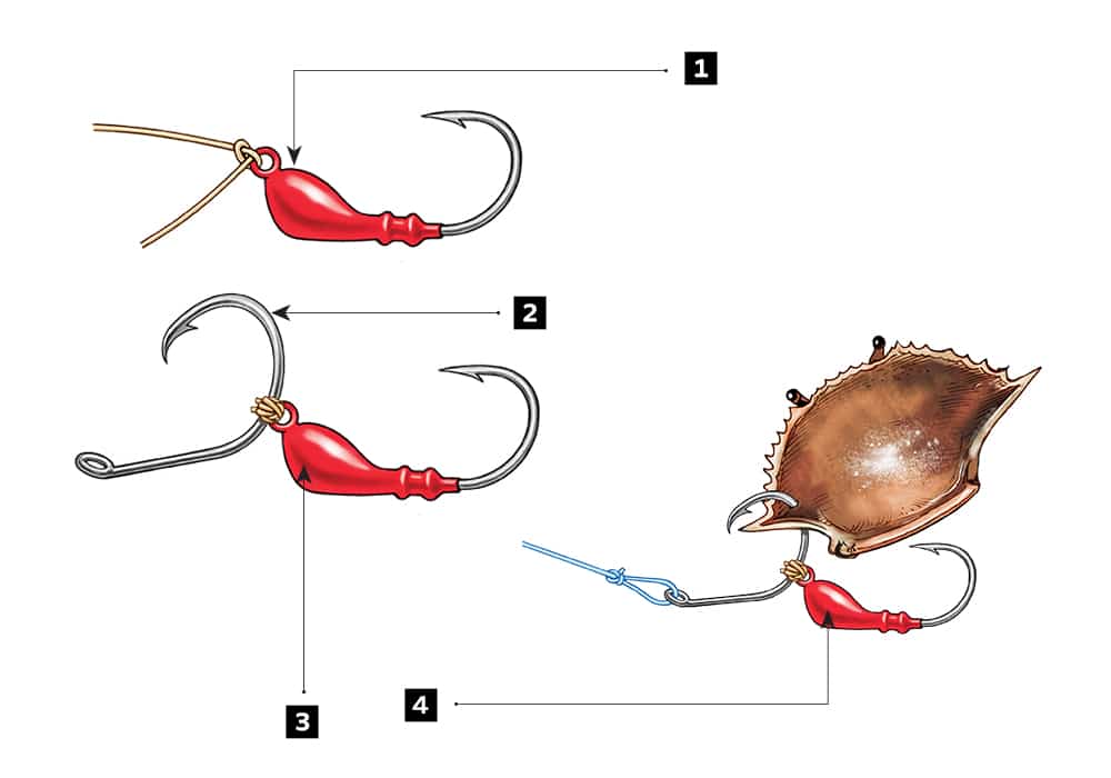 How to Use Circle Hooks 