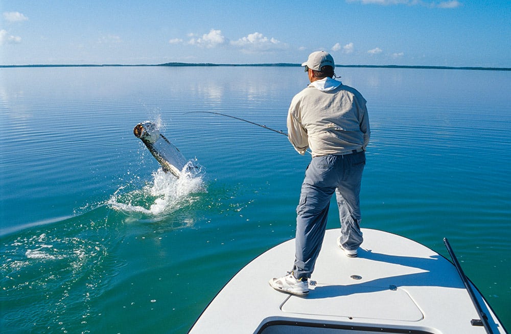 Tarpon Fishing Around Florida