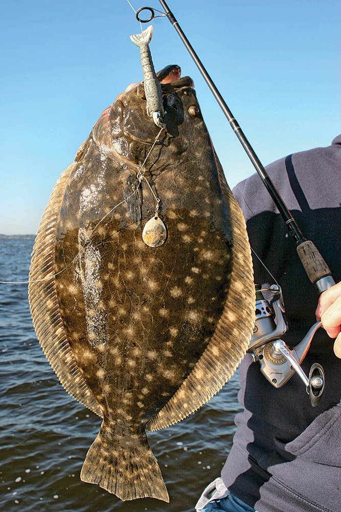 flounder catch