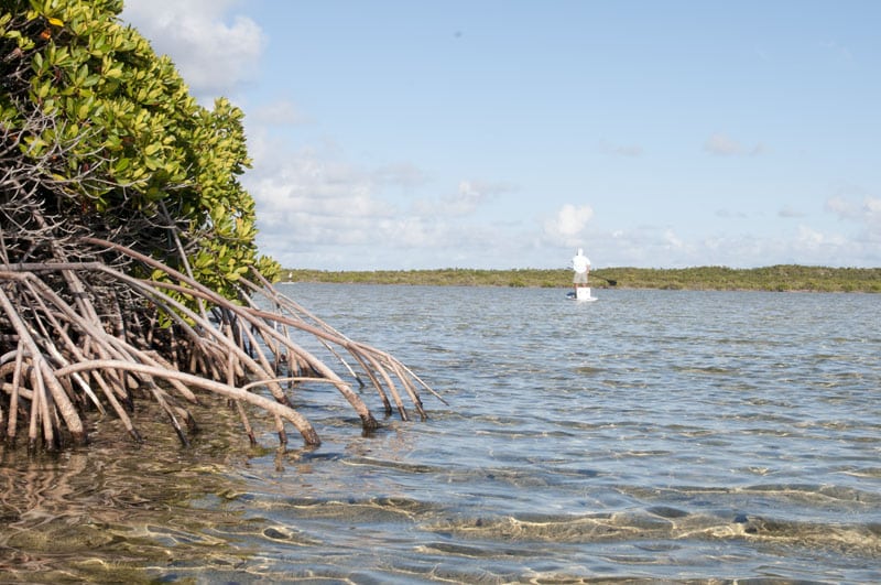 fly-fishing-best-photos061.jpg