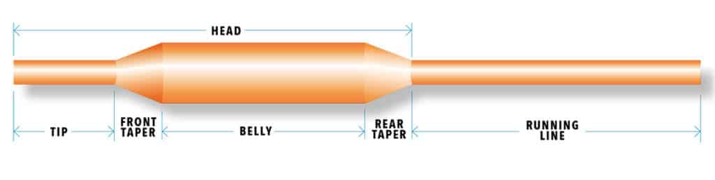 Anatomy of a Fly Line