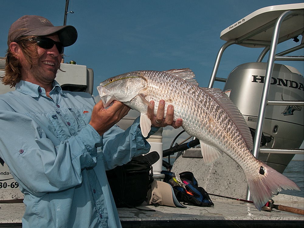 Galveston, Texas redfish